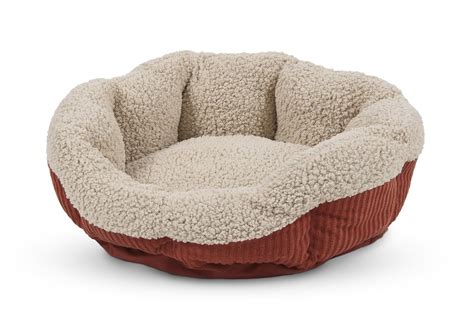 Top 5 Rated Cat Beds