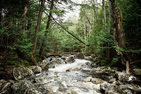 Free Images Tree Nature Waterfall Creek Wilderness Trail River