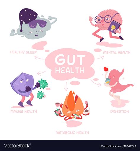 Why Gut Health Matters Scientific Poster Vector Image