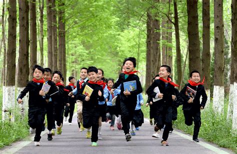 Report Highlights Progress In Chinas Education System Cn