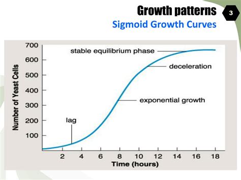Ppt Growth Patterns Powerpoint Presentation Free Download Id792356