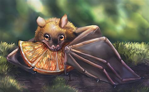 Fruit Bat By Designinglua Cute Bat Bat Art Fruit Bat