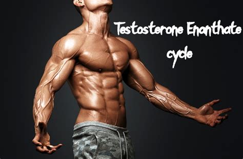 Testosterone Enanthate Dosage Cycle And Side Effects