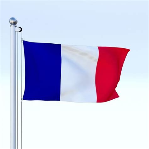 Before you move to france from the usa, compile as many of the following documents as possible 3D asset Animated France Flag | CGTrader