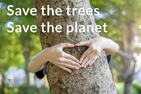 Why Saving Trees Is More Important Than Ever