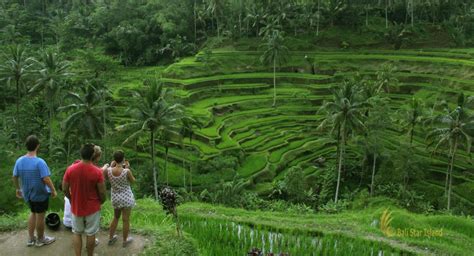 Ubud Tour Bali Sightseeing Full Day Tours Tourist Activities