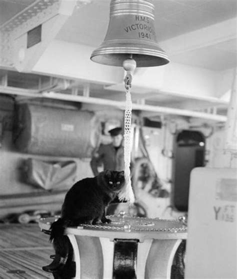 A Black Cat Sitting On Top Of A Table Next To A Bell And Some People