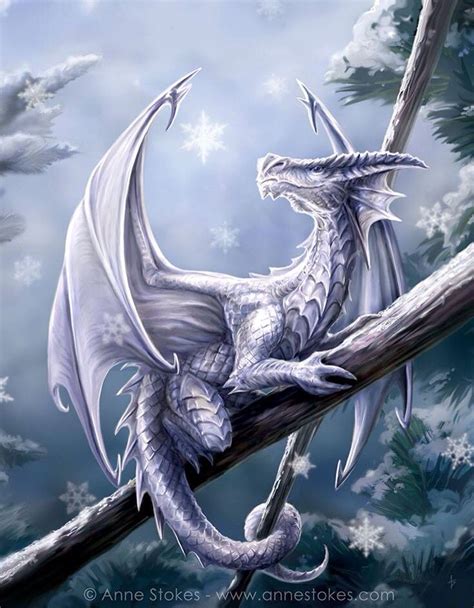 Winter Dragon Dragon Pictures Snow Dragon Fantasy Dragon