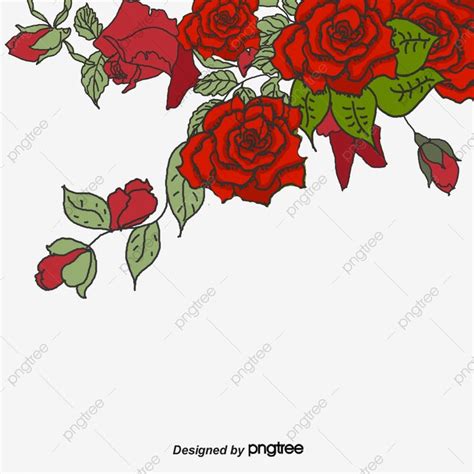 Romantic Rose White Transparent Romantic Red Roses Border Red Rose