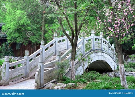 Arch Bridge In Chinese Garden Stock Photography