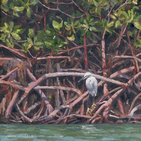 Carol Mcardles Newest Paintings Forest Art Florida Art Jungle Mural