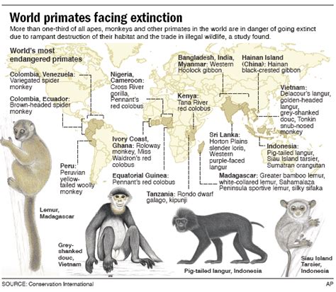 Species New To Science Primates In Peril The Worlds 25 Most