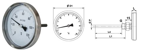Ther0210000120 Thermomètre Bimétallique à Cadran Inox Ø100mm