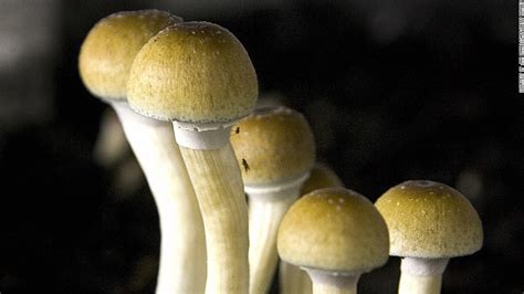 Magic Mushroom Chemical May Help Cancer Patients Cnn