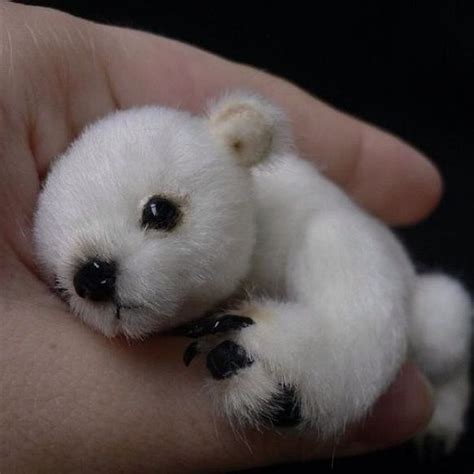 Baby Polar Bear Ohh My Goodness This So Cute Baby Polar Bears