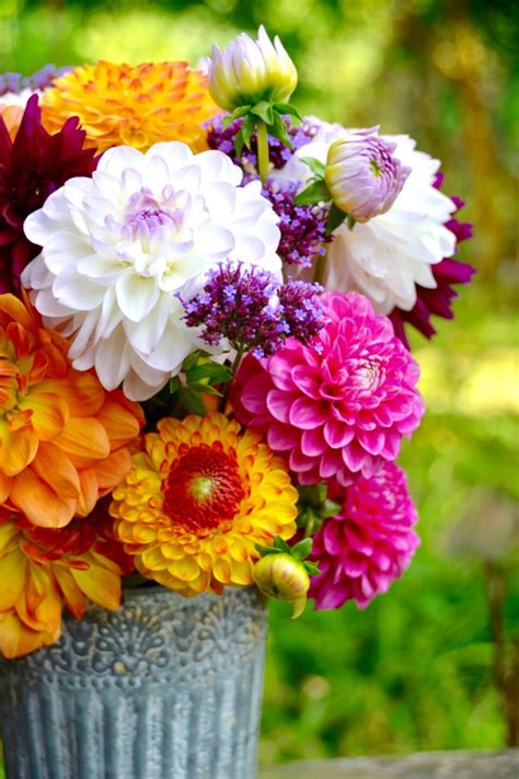 Create A Late Summer Flower Arrangement Town And Country Living