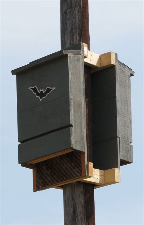 Bat House Placement Is The Key To Attracting Bats To Your Bat House