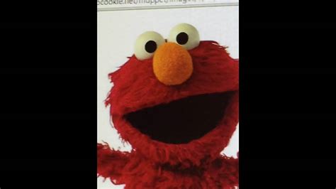 Elmo Wallpaper Funny 12 Funny Elmo Sayings And Quotes Goawall