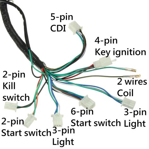 atv wiring harnes  peace wiring diagrams