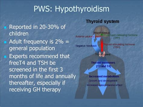 Ppt Update On Endocrine Complications In Prader Willi Syndrome
