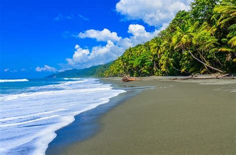 Lors d'un voyage au costa rica, emporter le guide du routard vous assure d'avoir toujours une importante liste d'adresses pour manger ou dormir selon votre budget et la région ou vous vous trouvez. Le meilleur du Costa Rica : Le meilleur du Costa Rica ...
