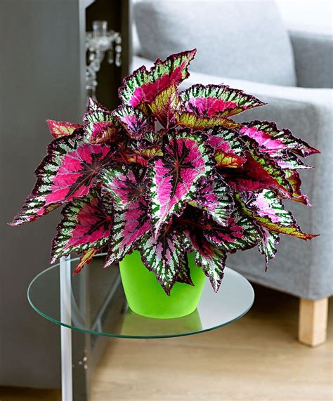 25 Beautiful Artificial Indoor Plants Ideas That Will Make Your