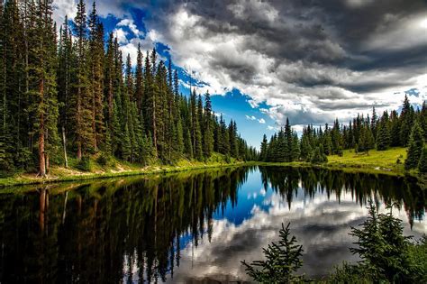 Free Photo Sky Cloudy Sky Trees Clouds Conifers Lake Max Pixel