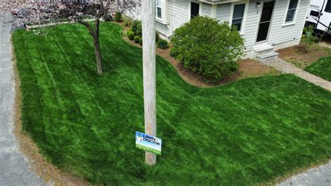 How Often Should You Fertilize Your Lawn In Massachusetts Lawn