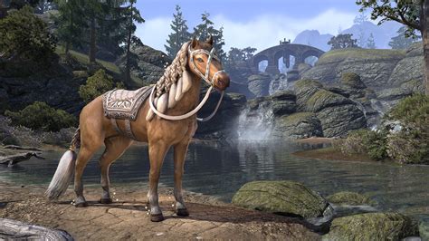 White Gold Imperial Courser Crown Store The Elder Scrolls Online