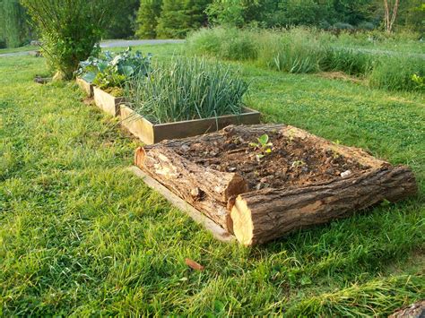 Vegans Living Off The Land Raised Bed Garden Ideas