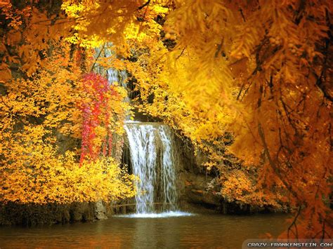 48 Free Desktop Wallpaper Autumn Scenes On Wallpapersafari
