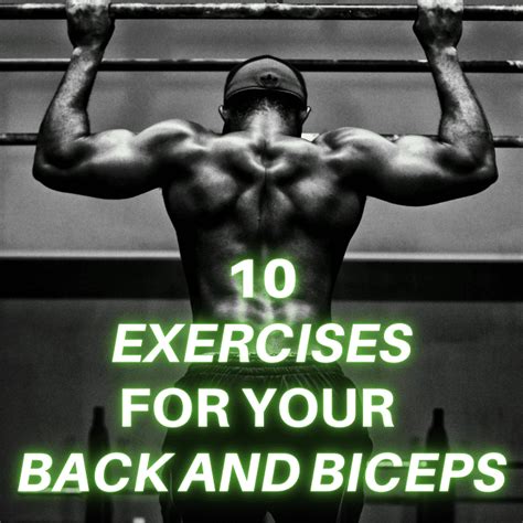 10 Best Exercises To Build Bigger Back Muscles And Biceps Caloriebee