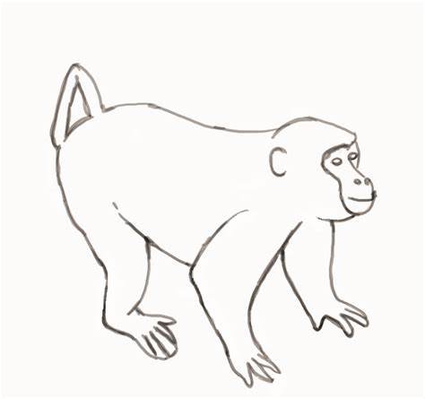 How To Draw Monkeys Step By Step Drawing Guide By Puz