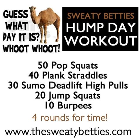 Hump Day Workout Dontbeabitch What I Should Be Doing Instead Of