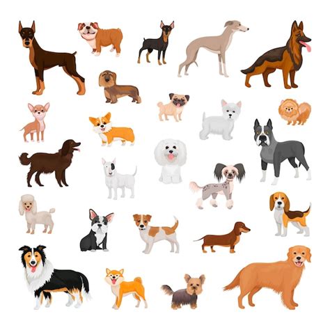 Premium Vector Collection Of Dogs Of Different Breeds