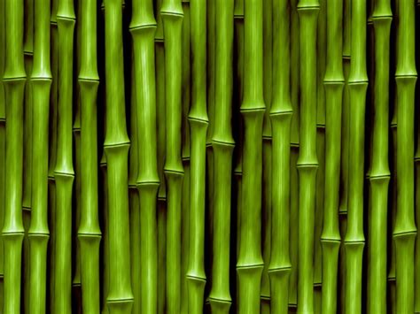 Bamboo Background HD Free Download CBEditz