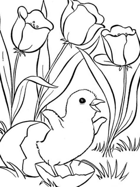Cute Spring Coloring Pages - Coloring Home