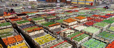 Warehousing Agriculture Produce In India The Agrotech Daily