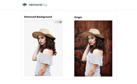 Top 10 Free Online Background Remover Tools Removalai