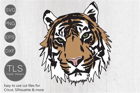 35 Free Tiger Svg File Free Svg Cut