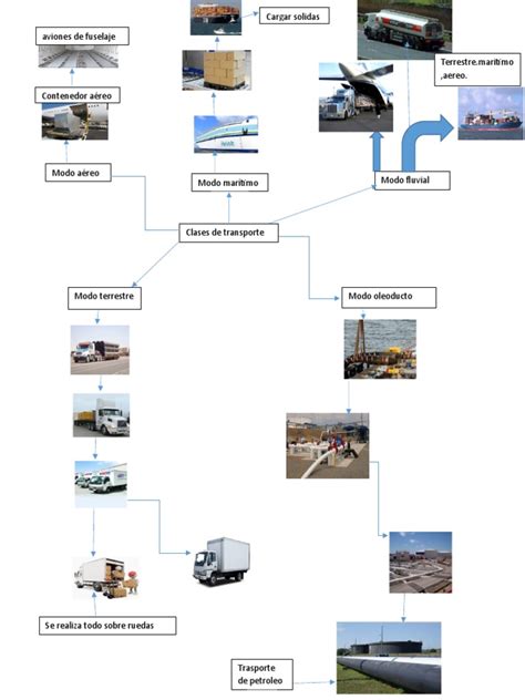 Mapa Mental De Transportes Pdf