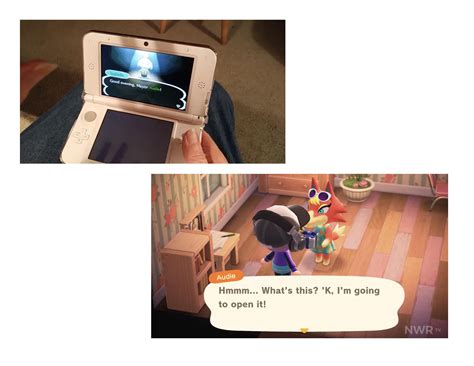 Abuela gamer es reconocida en el nuevo Animal Crossing