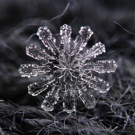 Pin By Wend Erella On Winter Snowflake Photography Snowflake Images