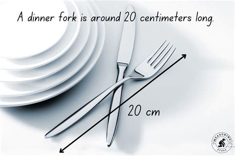 Things That Are 20 Centimeters Long Measuring Stuff