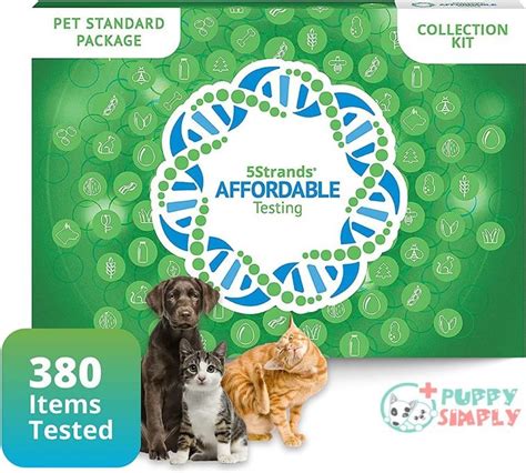 Best Allergy Test For Dogs At Home Top Kits Of 2023