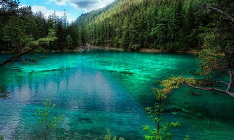 El Misterio Del Lago Verde De Grüner See