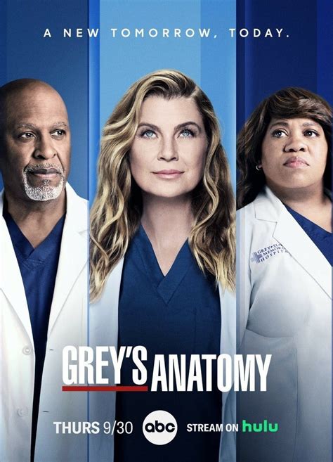 Grey S Anatomy Temporada Sensacine Com Mx