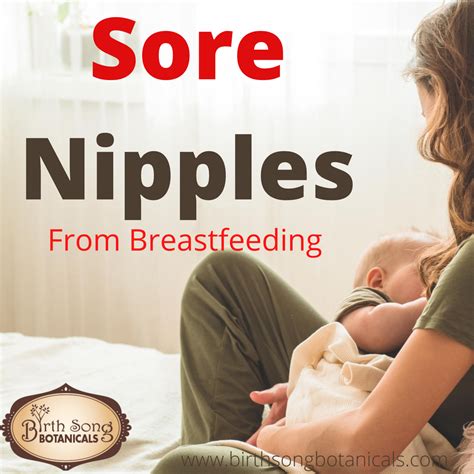 How To Heal Sore Nipples From Breastfeeding Birth Song Botanicals Co