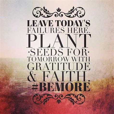 Plant Your Seeds Planting Seeds Positive Affirmations Gratitude