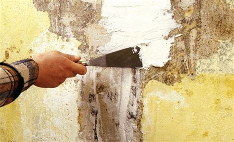 Comment Reparer Une Fissure Dans Un Mur Exterieur Le Mur